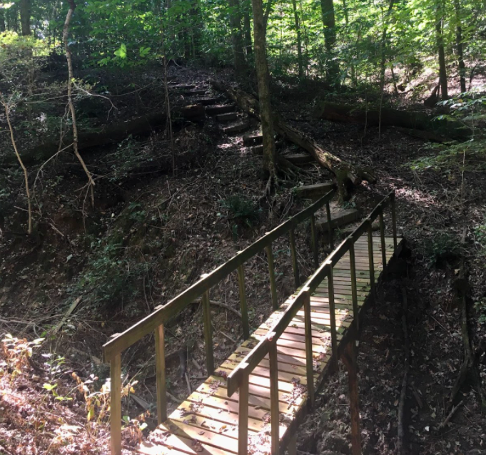 Set of stairs in the woods